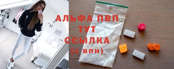 стаф Алексин