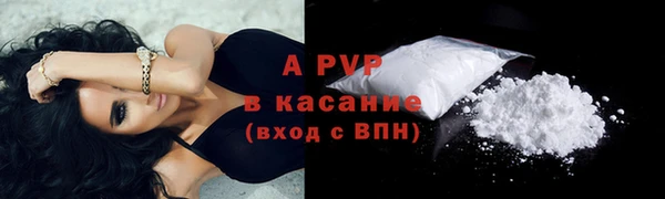 стаф Алексин