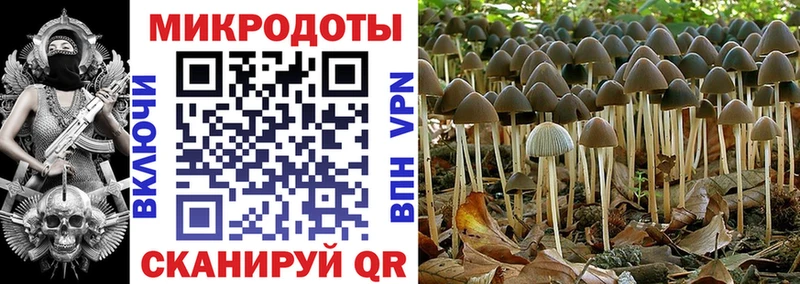 hydra сайт  Александров  Псилоцибиновые грибы Psilocybe  где продают наркотики 